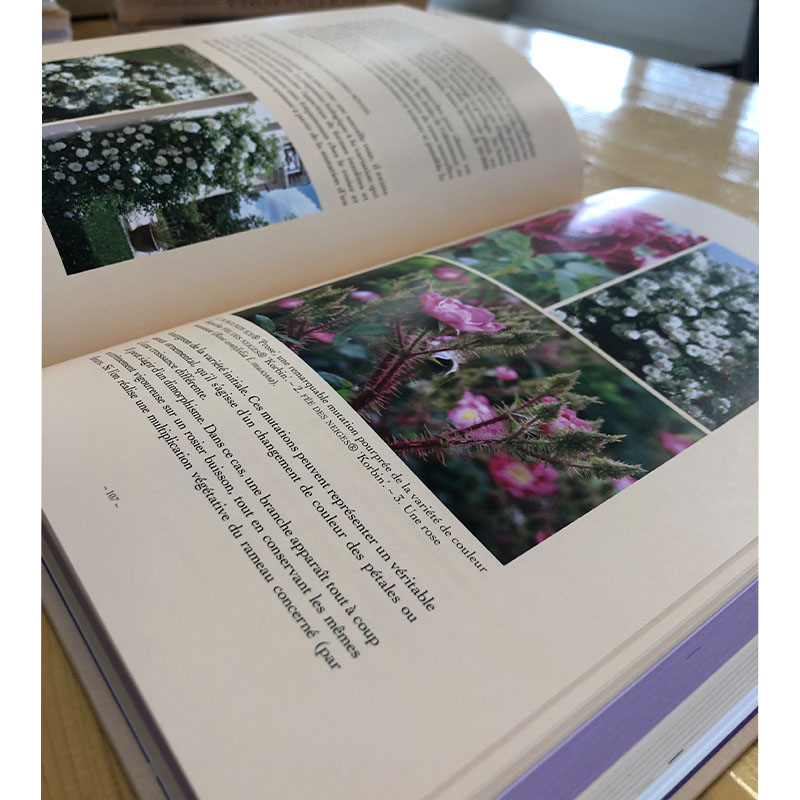 Livre Secrets de roses: Une encyclopédie illustrée - JC Foucard