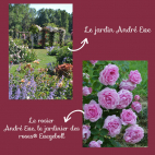 Collection les 3 Jardins Andre Eve