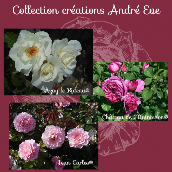 Collection Créations André Eve